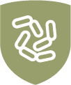bacteria icon grey