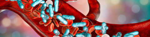 Diagnosis of bacterial sepsis: Why are tests for bacteremia not sufficient?
